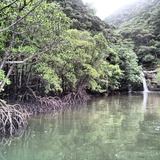IMG_20130415_220506