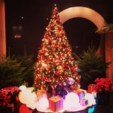 IMG_20131123_215947~01