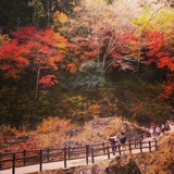 IMG_20131126_184019~01