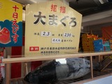 IMG_20210110_213005_copy_1024x769