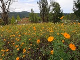 IMG_20191006_135930-1024x768