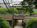 IMG_20190707_134107-1024x768
