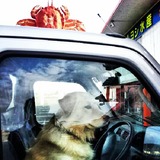 IMG_20121125_090656