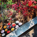 IMG_20140927_174506~01