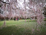 IMG_20190430_145911-1024x768