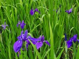 20240429_104111_copy_1024x768
