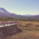 IMG_20130610_094141