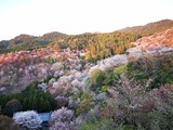 IMG_20190415_181527-1024x768