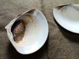 IMG_20210503_175123_copy_1024x768
