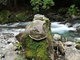 IMG_20220520_094609_copy_1024x768