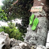 IMG_20130411_155607