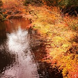 IMG_20131125_162534~01