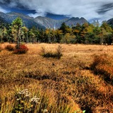 IMG_20141004_144123~01