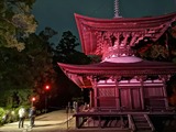 IMG_20190913_185749-1024x768