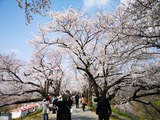 IMG_20190406_093035-1024x768