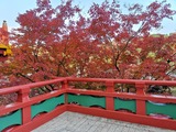 IMG_20201204_153522_copy_1024x768