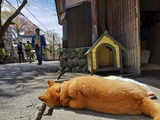 IMG_20190416_103904-800x600