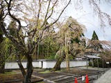 IMG_20190408_142554
