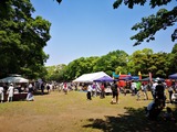 IMG_20190511_114007-1024x768