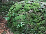 IMG_20200724_135219_copy_1024x768