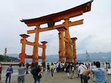 IMG_20190531_122454-1024x768