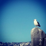 IMG_20130610_153300
