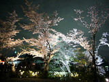 高台寺