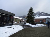280310 (7)