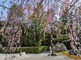 IMG_20190409_153941-1024x768