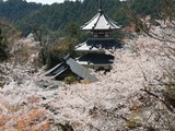 IMG_20190413_125532-1024x768