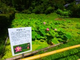 P7120024~01