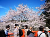 Fotor_155514417216679-1024x768