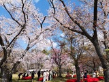 IMG_20190409_103355-1024x768