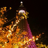 IMG_20131123_175531~01