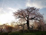 IMG_20190405_174548-1024x768