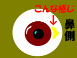ĤϤ