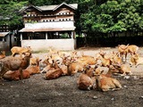 IMG_20220519_145454_copy_800x600