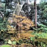 IMG_20121206_182059