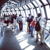IMG_20130428_150853