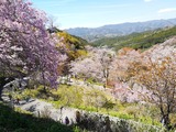 IMG_20190413_134347-1024x768