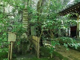 IMG_20190726_122612-1024x768