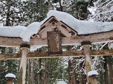 20250117_100626_copy_1024x768