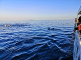 IMG_20200101_162842-1024x768