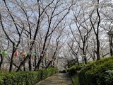 IMG_20190406_151518-1024x768