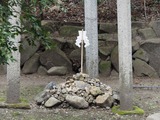 P1250023~01