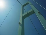 020