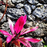 IMG_20130413_212446