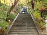 PB140081~01