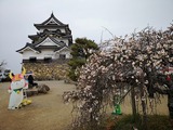 IMG_20190303_142733-1024x768