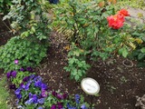 IMG_20190425_104705-1024x768